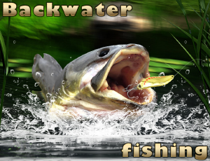 Backwater Fishing: Play Backwater Fishing for free