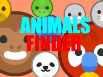 Animal Finder: Play Animal Finder for free on LittleGames