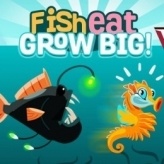 Feed And Grow Fish Game Free No Download - Colaboratory