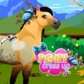 Pony Dress Up