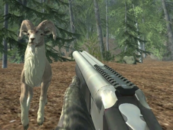 Crazy Goat Hunter: Play Crazy Goat Hunter for free
