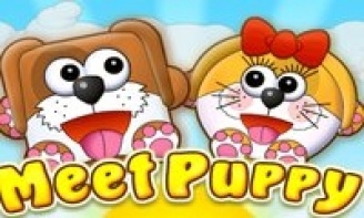 Puppy Games: Play Puppy Games on LittleGames for free