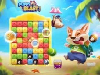 Puppy Games: Play Puppy Games on LittleGames for free