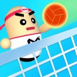 Volleyball Games: Play Volleyball Games on LittleGames