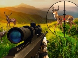 Sniper Games: Play Sniper Games on LittleGames for free