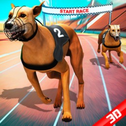 Crazy Dog Racing Fever Game 3D em Jogos na Internet