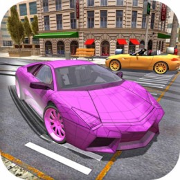 Ultimate Car Driving Game