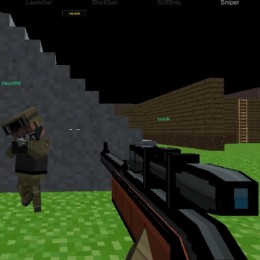 Play Pixel Crazy Minecraft shooter Online for Free